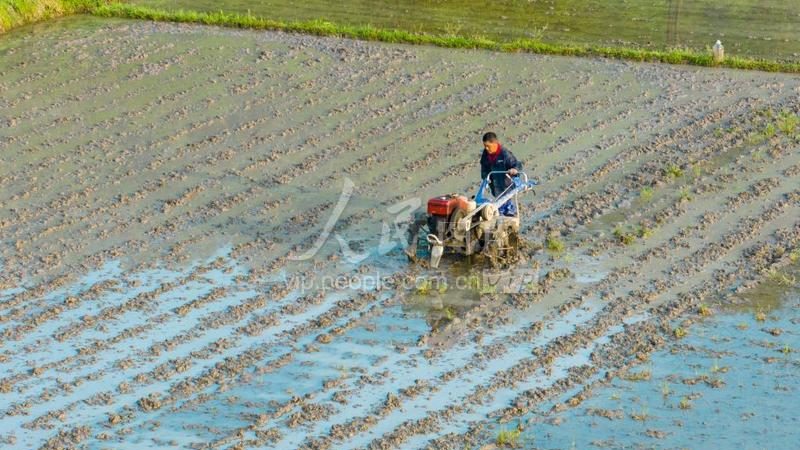 小型水稻收割机：揭秘其型号与关键参数**